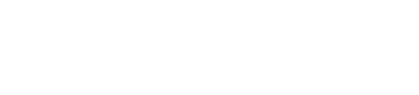 Destek